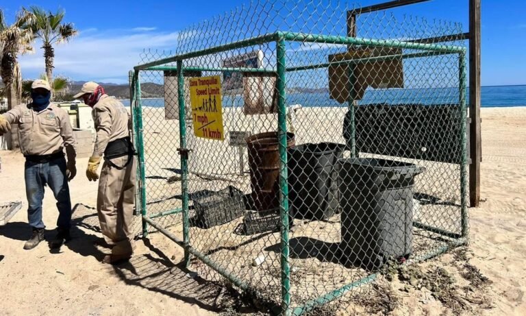 RECOGEN 90 TONELADAS DE BASURA DE LAS PLAYAS – alDíaBCS