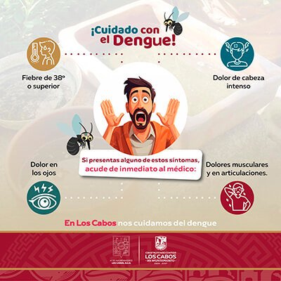 Cuidado Con El Dengue