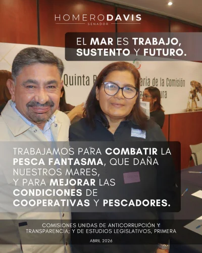 Homero Davis Castro - Senador