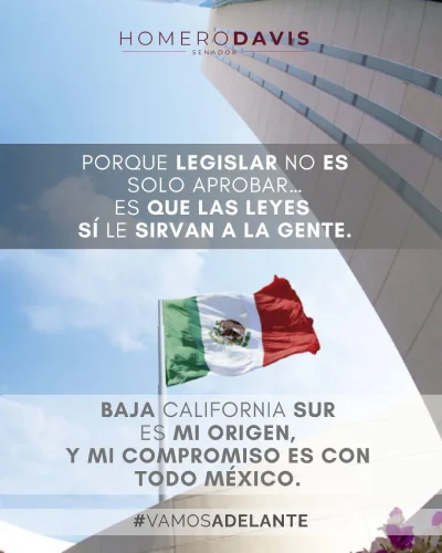 Homero Davis Castro - Senador