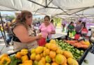 ¡OTORGAN APOYOS ALIMENTARIOS EN CSL!