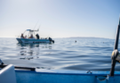 INVITAN AL TORNEO DE PESCA “DÍA DEL PADRE”