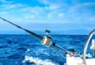 INICIÓ TORNEO DE PESCA “COPA PRESIDENTE”