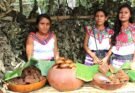 EN MI OPINIÓN / USOS Y COSTUMBRES DE PUEBLOS INDÍGENAS