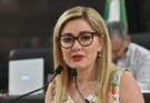 PROPONEN UNA DEFENSA PÚBLICA SIN COSTO