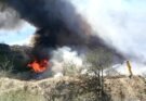 ¡SE INCENDIÓ BASURERO DE “LAS CUEVAS”!