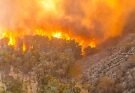 ¡IDENTIFICAN A RESPONSABLES DEL INCENDIO!