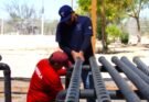 IMPULSAN LA PRODUCCCIÓN DE ALIMENTOS