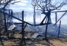 ATIENDEN BOMBEROS INCENDIO EN SANTIAGO
