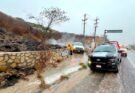 BOMBEROS ATIENDEN INCENDIO FORESTAL