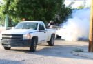 HABRÁ FUMIGACIONES EN SAN JOSÉ DEL CABO