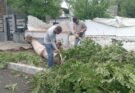 ARRANCAN TRABAJOS DE LIMPIEZA EN LA PAZ