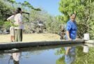 ¡BUSCAN EVITAR CRIADEROS DE MOSQUITOS!