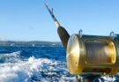ALISTAN TORNEO DE PESCA “LEGISLADORES”