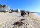 REALIZAN LIMPIEZA EN LA PLAYA COSTA AZUL