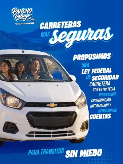 Francisco Pelayo Covarrubias