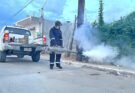 CONTINÚAN FUMIGANDO CONTRA EL DENGUE