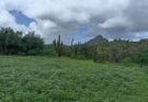 REVERDECE LORETO TRAS RECIENTES LLUVIAS