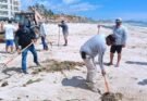 RETIRAN LIRIO ACUÁTICO DE PLAYAS CABEÑAS