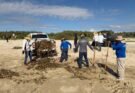 REALIZAN LIMPIEZA PERMANENTE EN PLAYAS